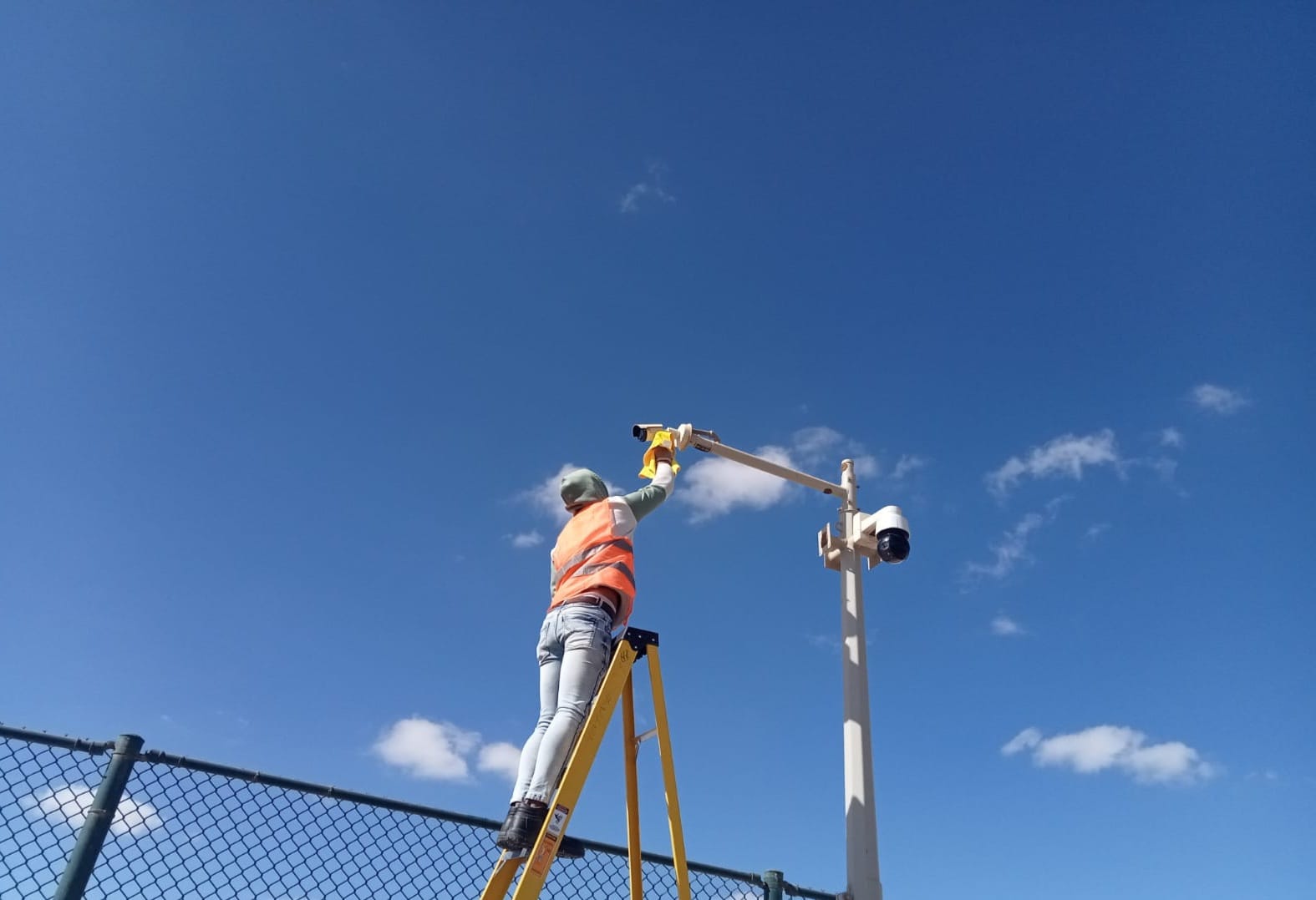 Novaroots Project 61